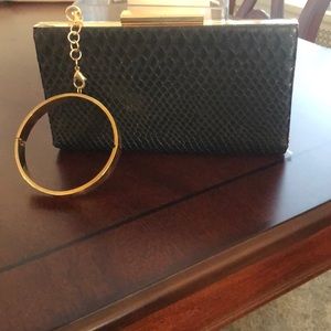 Gorgeous ALDO clutch